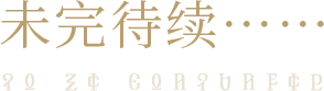 未完待续